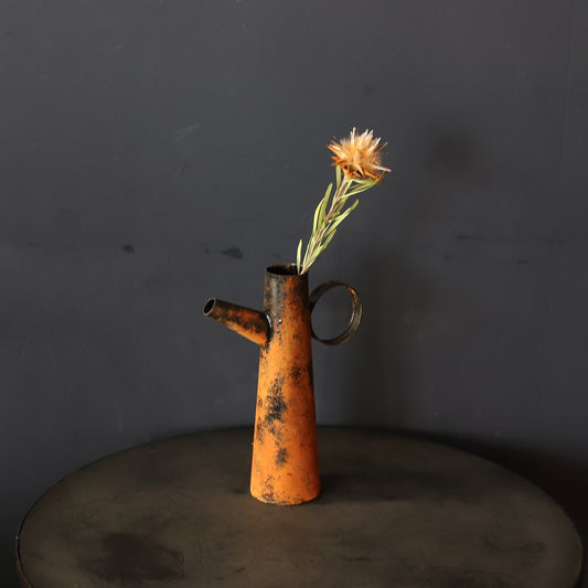 ［ドライフラワー］リューカデンドロン プルモサス