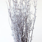 ［ドライフラワー］小枝ウォッシュホワイト