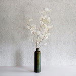 ［ドライフラワー］ルナリア （クリア）