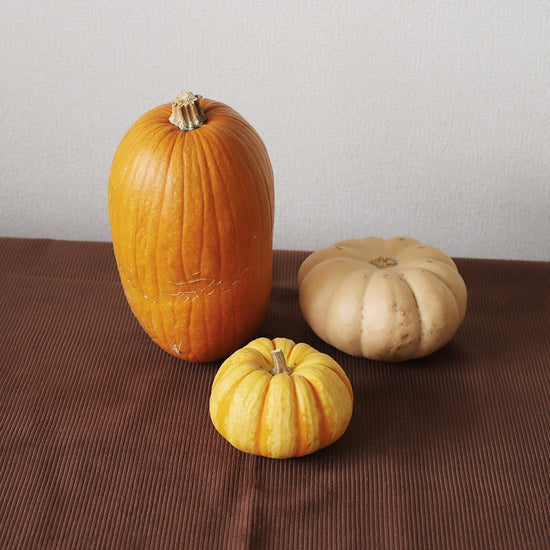 オモチャカボチャ 3個セット