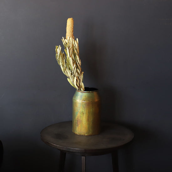 ［ドライフラワー］バンクシア アテニュアータ