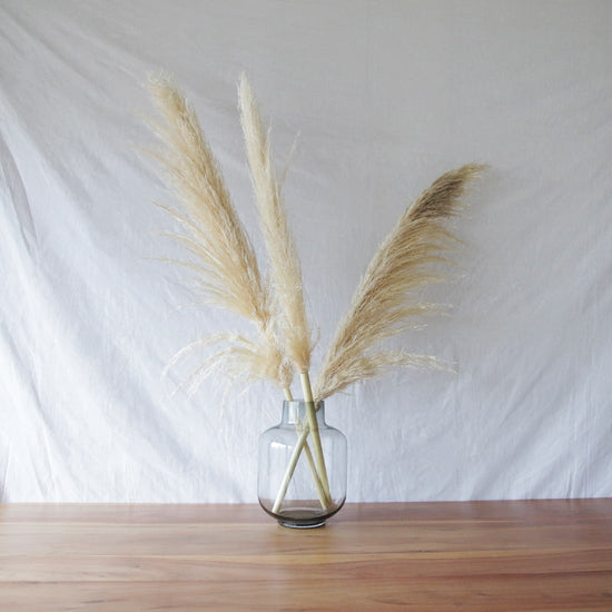 ［ドライフラワー］不揃いなパンパスグラス３本セット
