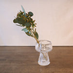 ［ドライフラワー］ユーカリ コーストベリー