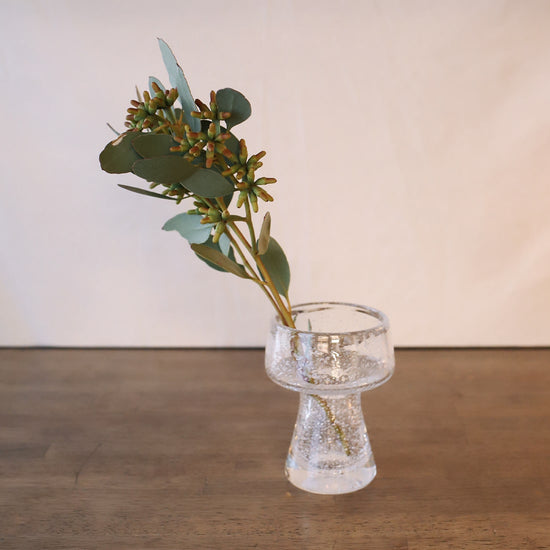 ［ドライフラワー］ユーカリ コーストベリー