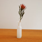 ［ドライフラワー］ピンクッション