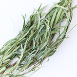 ［ドライフラワー］ユーカリ ニコリ