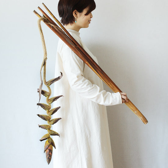 ［ドライフラワー］ヘリコニア ブラッディーマリー