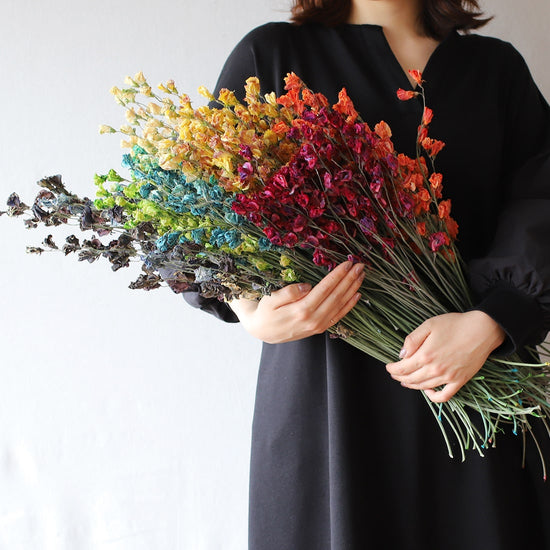 ［ドライフラワー］スイートピー　