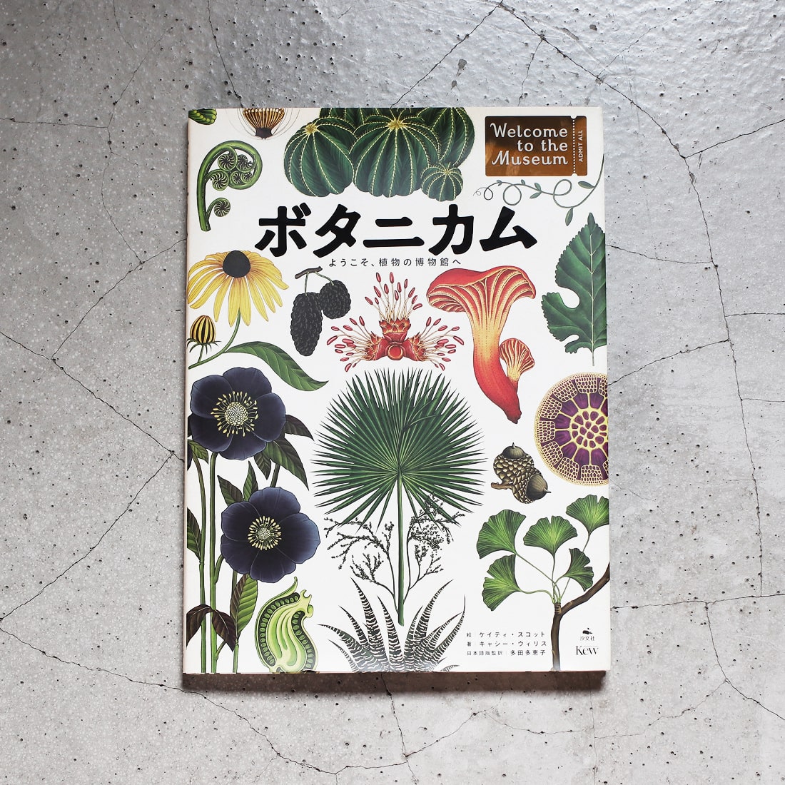 書籍］ボタニカム ようこそ、植物の博物館へ 商品ページ - 土と風の植物園