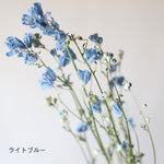 ［ドライフラワー］スプレーデルフィニューム