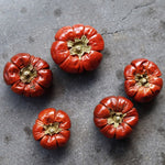 ［ドライフラワー］ミニカボチャ 5個セット