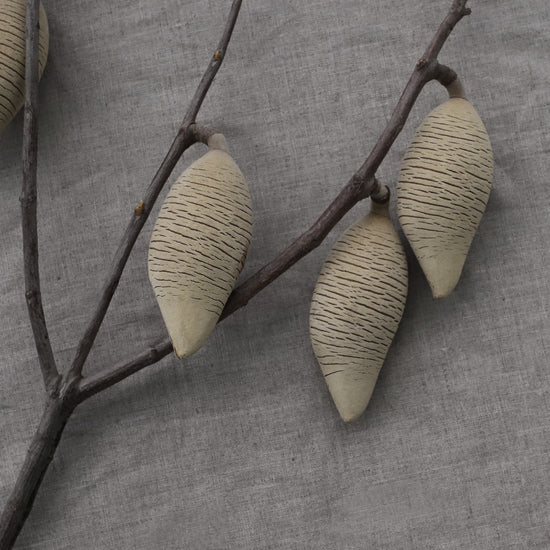 ［ドライフラワー］ウッディペア