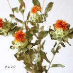 ［ドライフラワー］ベニバナ