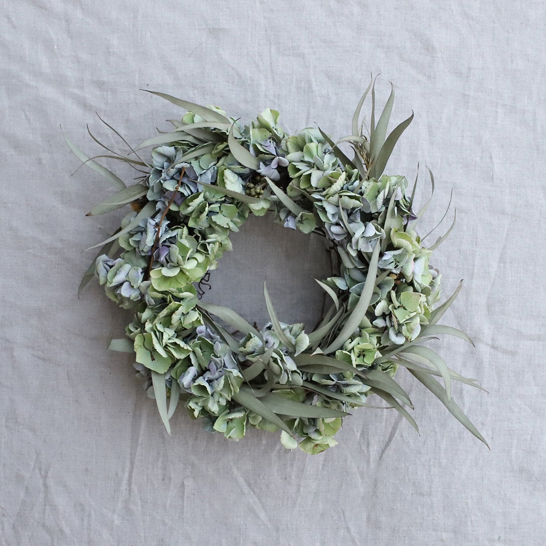 紫陽花 オパールクラシックグリーン・ユーカリのリース