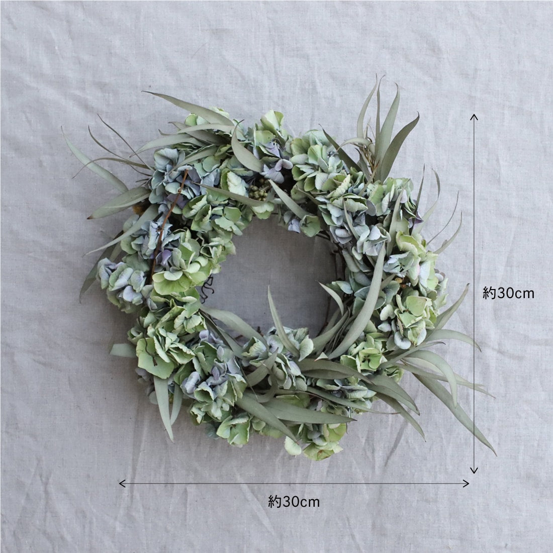 紫陽花 オパールクラシックグリーン・ユーカリのリース