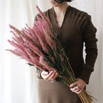 ［ドライフラワー］ケイトウ センチュリーピンク