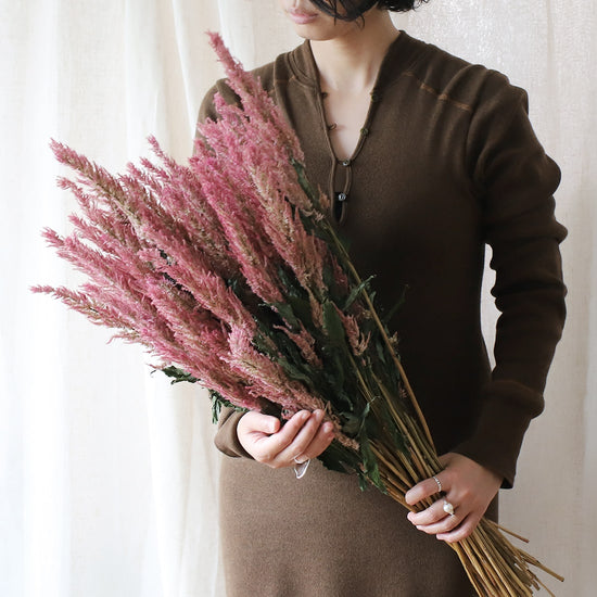 ［ドライフラワー］ケイトウ センチュリーピンク