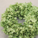 ＜ひたむき＞紫陽花アナベルのリース