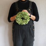 ＜ひたむき＞紫陽花アナベルのリース