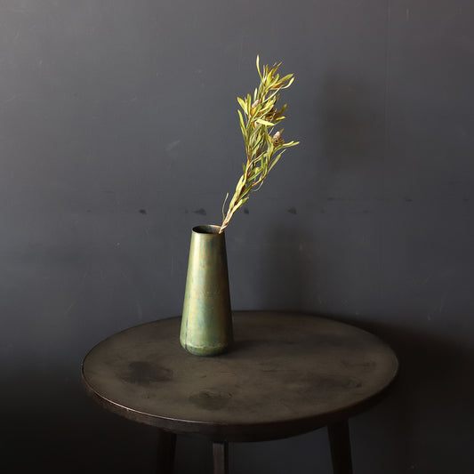 ［ドライフラワー］リューカデンドロン ピサ