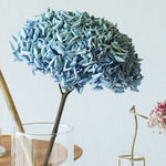 ［ドライフラワー］紫陽花  西安アンティークブルー＜クロダナーセリー＞