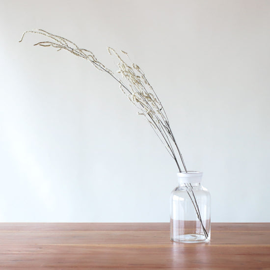 ［ドライフラワー］アマランサス イヤーミングデザート ホワイト