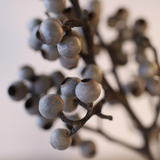 ［ドライフラワー］ユーカリ トレリアーナ