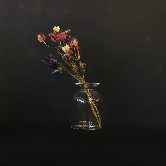 ［ドライフラワー］アネモネ