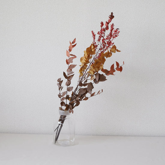 ［ドライフラワー］ユーカリ カラード