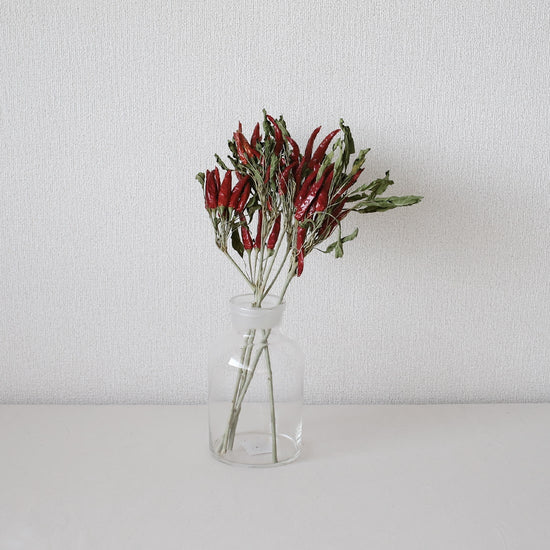 ［ドライフラワー］トウガラシ