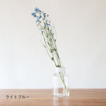 ［ドライフラワー］スプレーデルフィニューム