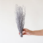 ［ドライフラワー］小枝ウォッシュホワイト