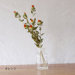 ［ドライフラワー］ベニバナ