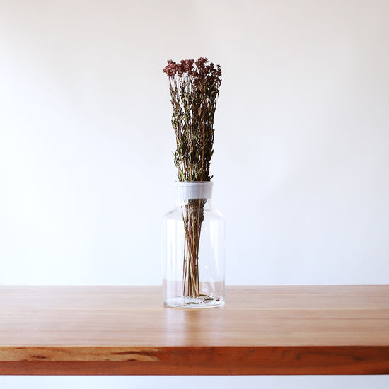 ［ドライフラワー］フジバカマ