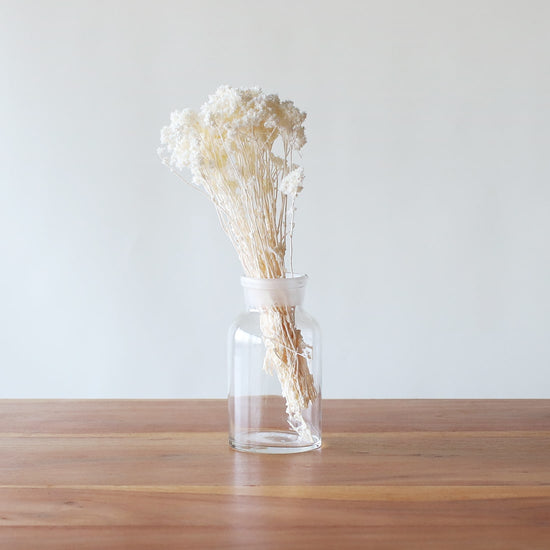 ※今季完売※［ドライフラワー］クリスパム ホワイト