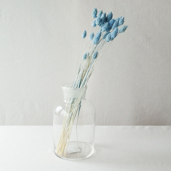 ［ドライフラワー］カナリーグラス ウォーターブルー