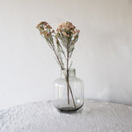 ［ドライフラワー］ライスフラワー