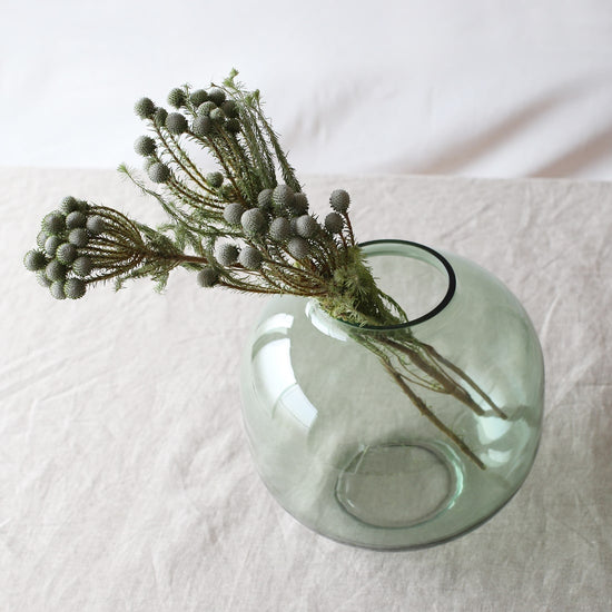 ［ドライフラワー］ブルニア シルバームーン