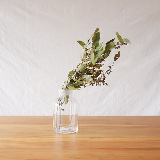 ［ドライフラワー］ユーカリ バクステリ