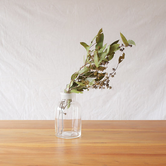 ［ドライフラワー］ユーカリ バクステリ