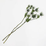 ［ドライフラワー］エリンジューム マグネーター