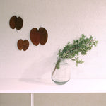 ［ドライフラワー］ベルベッドリーフ