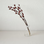 ［ドライフラワー］ベニアオイ