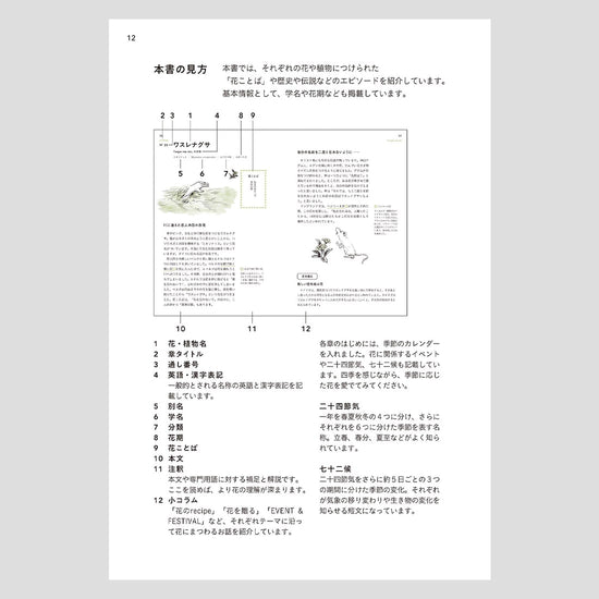 ［書籍］花のことば12ヶ月