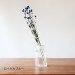 ［ドライフラワー］スプレーデルフィニューム