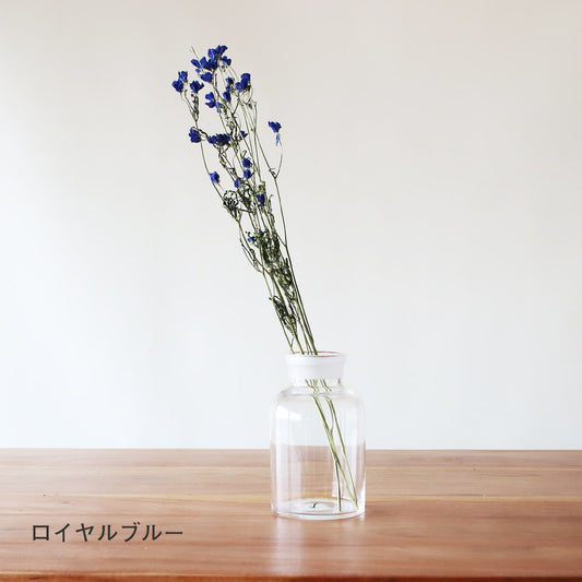 ［ドライフラワー］スプレーデルフィニューム