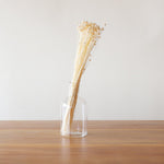 ※今季完売※［ドライフラワー］アマレリーノ