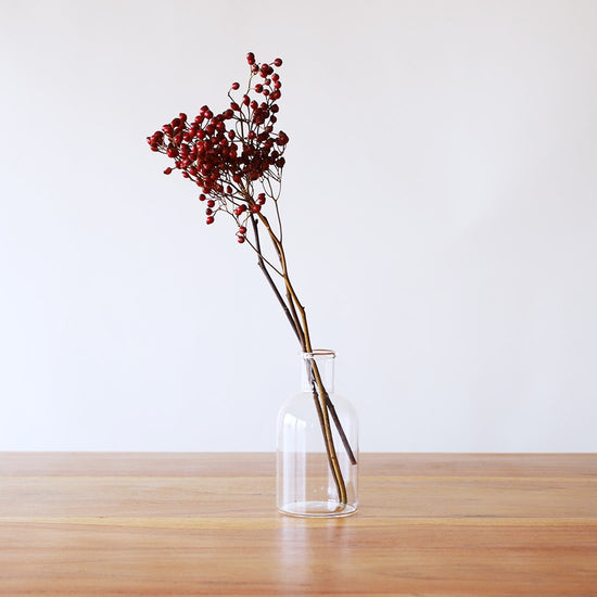 ［ドライフラワー］野ばらの実 ショート