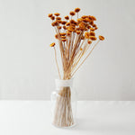 ［ドライフラワー］マーガレット