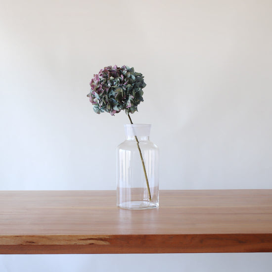 ［ドライフラワー］マジックアワーに染まる紫陽花